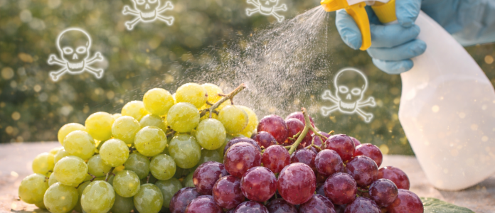 Dnes malé výživové okénko na téma jaro, vitamíny a pesticidy .-)